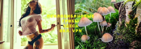 скорость mdpv Инсар