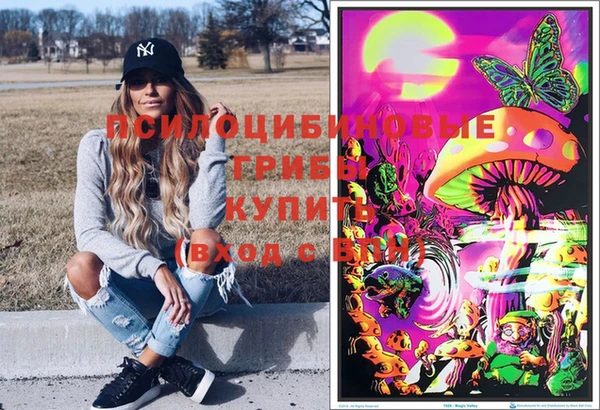 спиды Зерноград